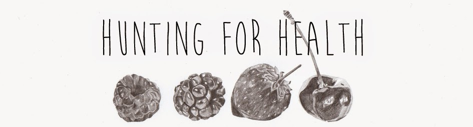 Hunting for Health - A Selection of Surprises by Olivia Huntingford