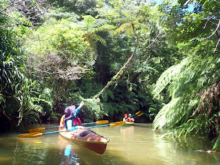 Jungle cruise 762280