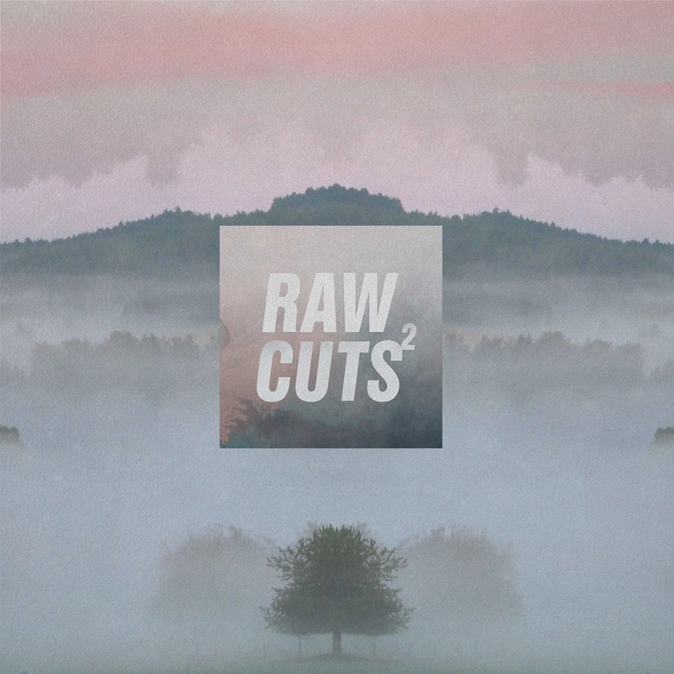 Raw Cuts 2 im Full Album Stream | Jazzy, dusty und LoFi HipHop Sounds