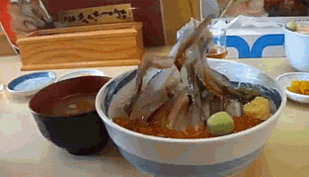 87 Gambar Lucu Orang Makan Paling Hist 87 Gambar Lucu Orang Makan Paling Hist