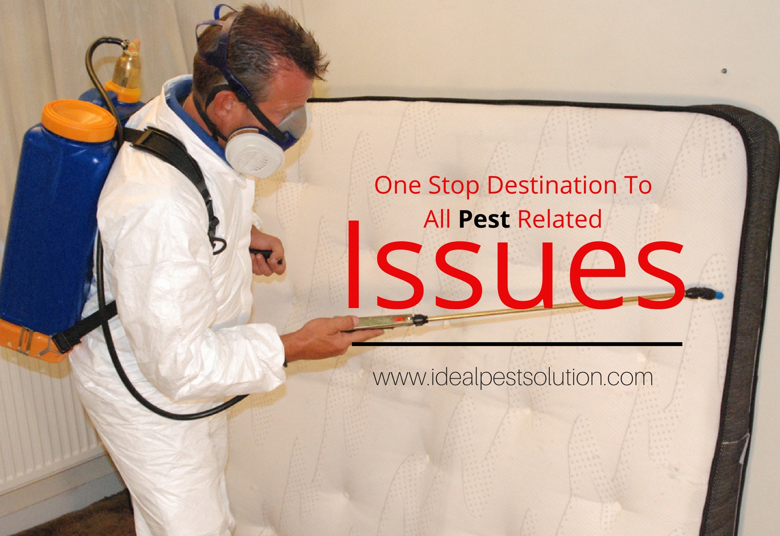 2 Hours to Improving Commercial Pest Control Services In Indore