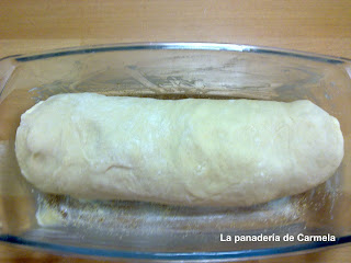 panmicroen7min14.jpg