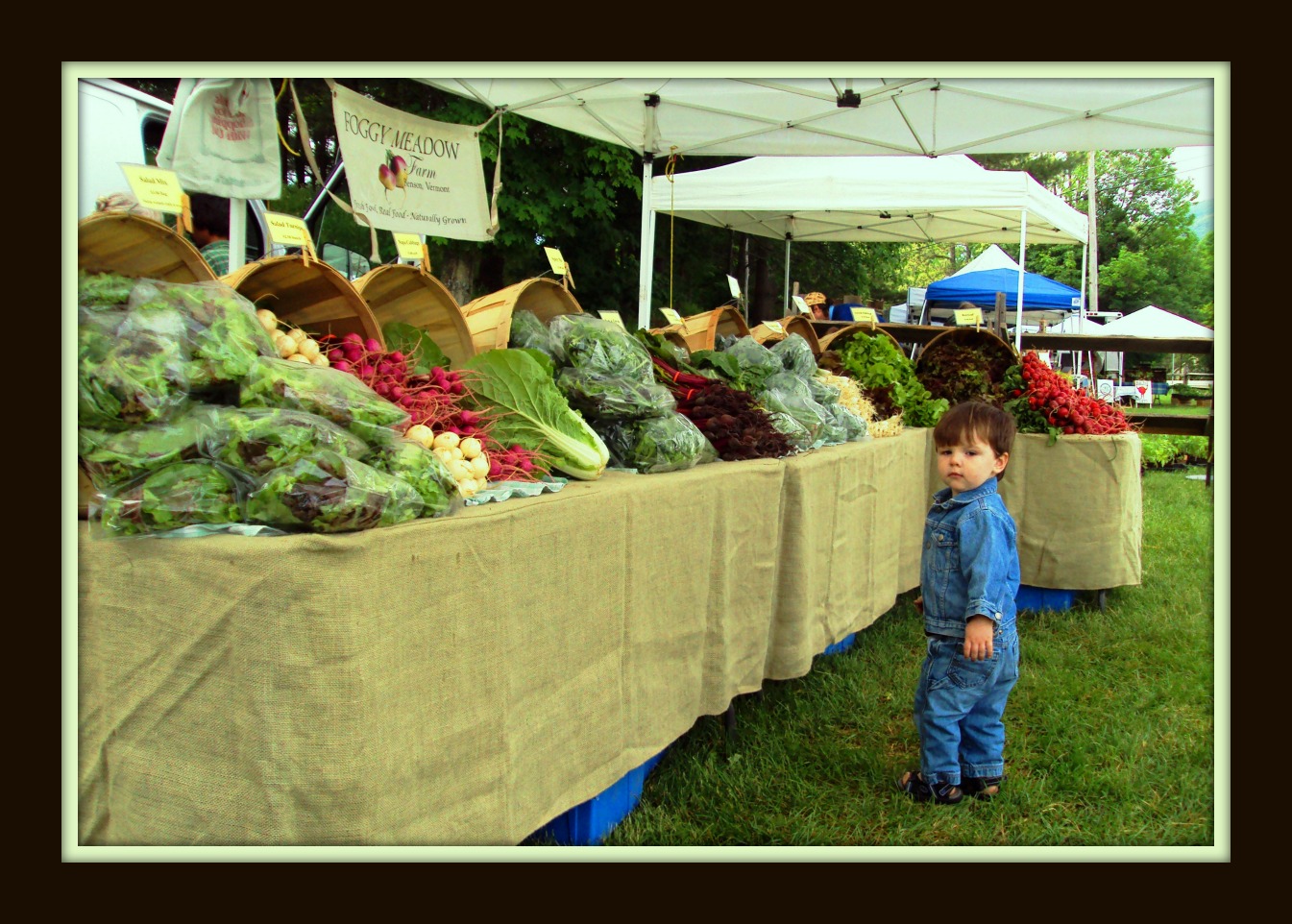 Appetite For Photos Mason at the Dorset (VT) Farmer's Market