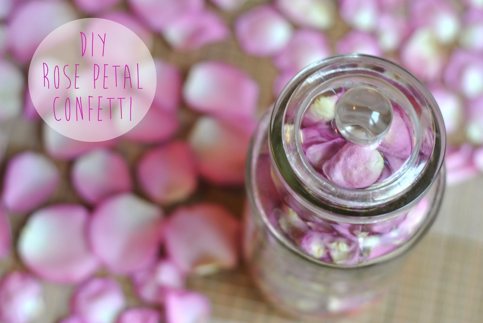 Knicker Elastic Fantastic DIY Fantastic Rose Petal Confetti