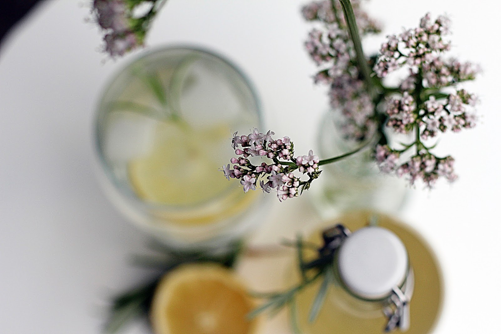 Ingwer-Zitronensirup mit Rosmarin • House No 37