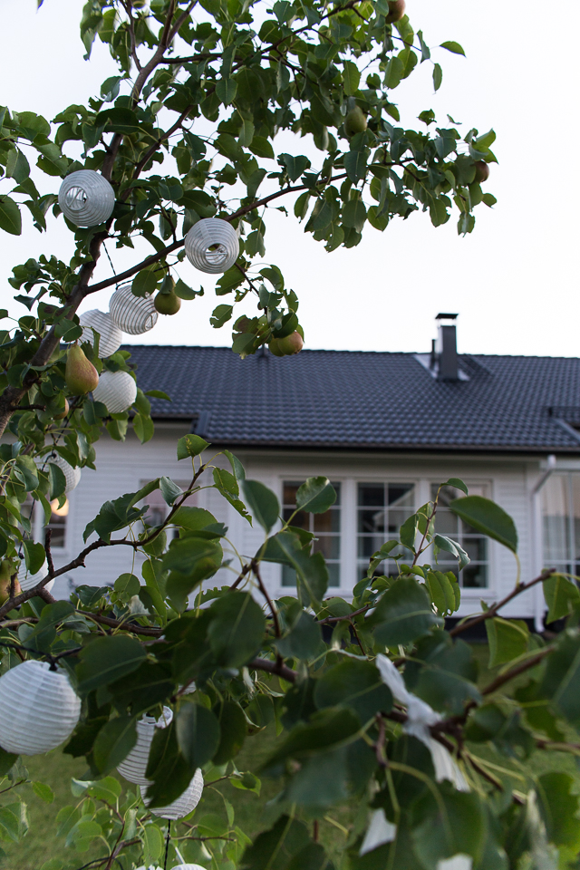 Villa H, puutarha, syyskierros, päärynäpuu, lasitettu terassi