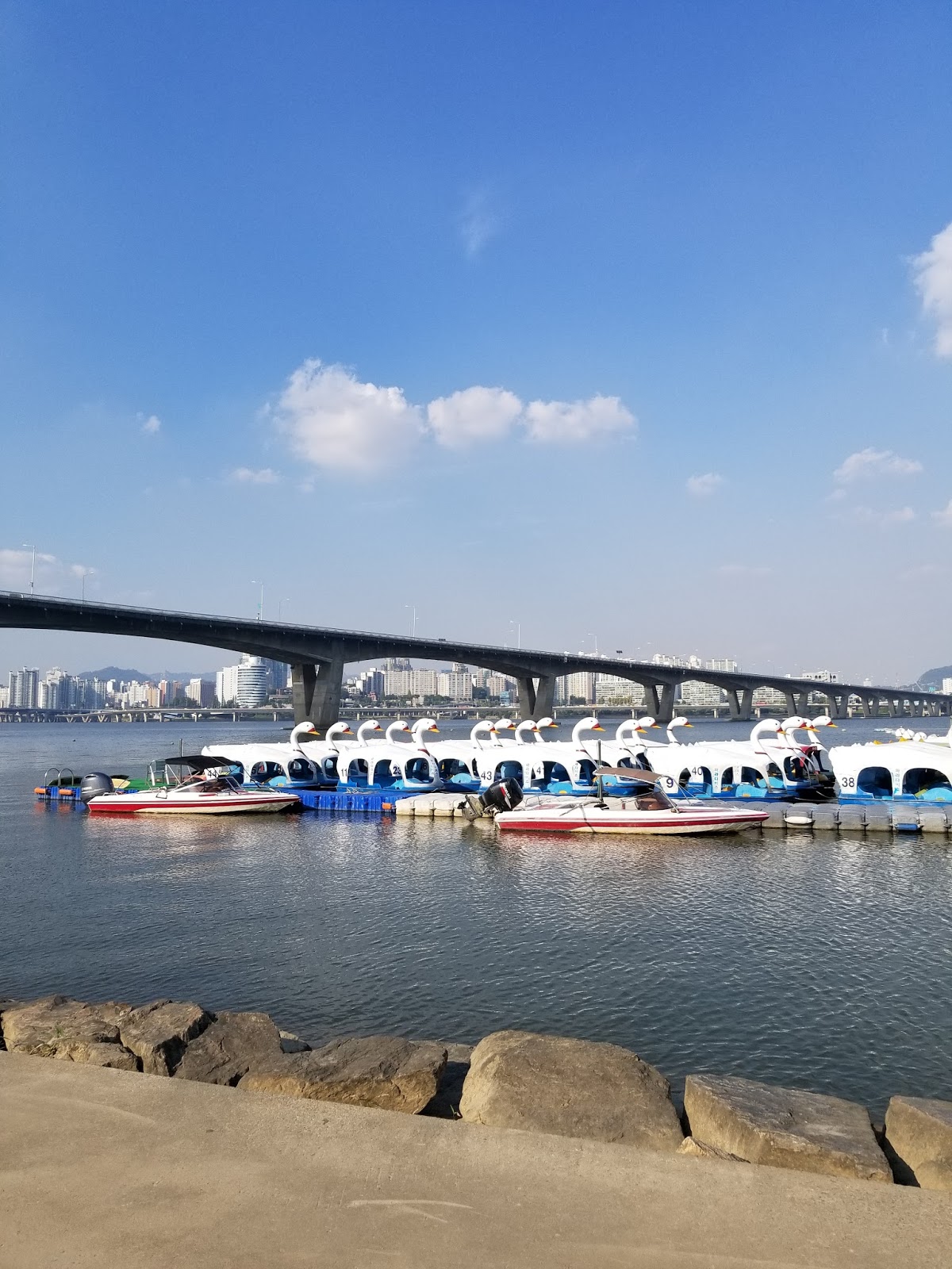Day 3 Swan Paddle Boating Seoul, South Korea chichicho