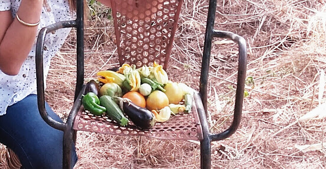 L'assiette de légumes printaniere pour Ima.