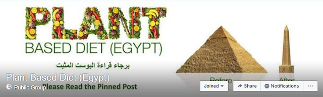 مشاريع ثغرات ناجحة في مصر، مشاريع صغيرة