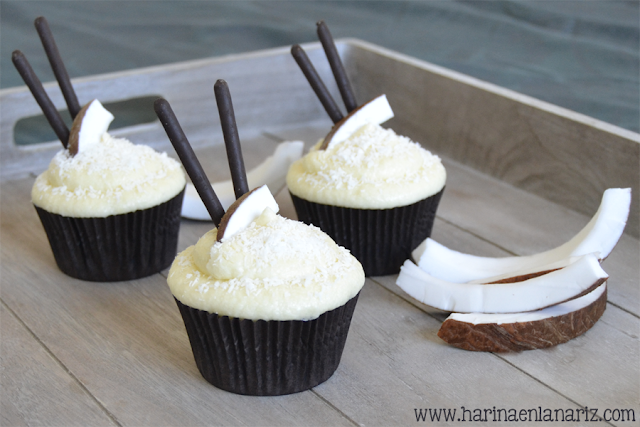 chocolate and coconut cupcakes