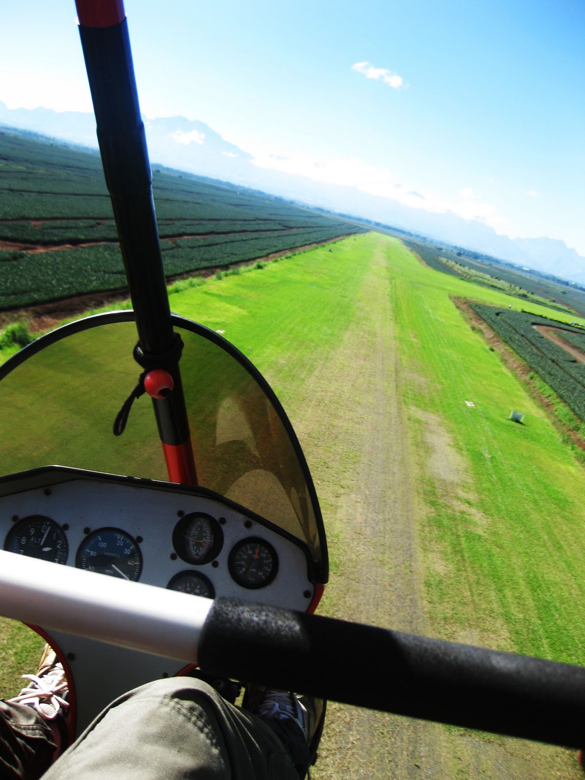 Of Calories and Miles: Part 1: [Bukidnon-CDO-Camiguin Trip] Flying Gecko