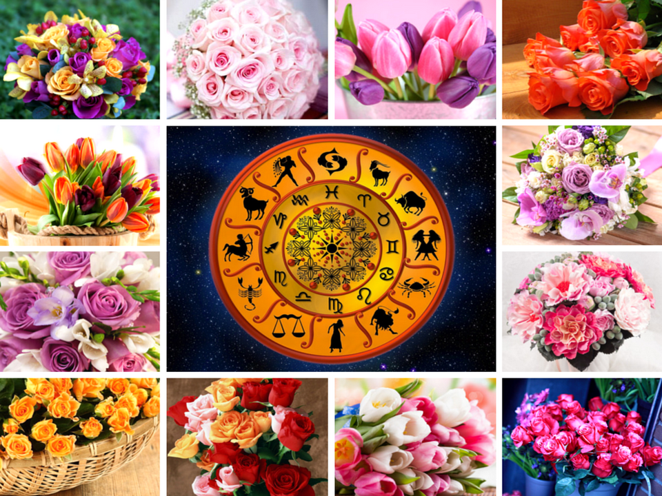 Растения по знаку зодиака. Цветы по гороскопу. Домашние цветы по знаку зодиака. Цветы для астролога. Цветок зодиака рак