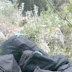 Θεσπρωτία:"Αδέσποτοι" σάκοι με μεγάλη ποσότητα κάνναβης στο Τρικόρυφο 