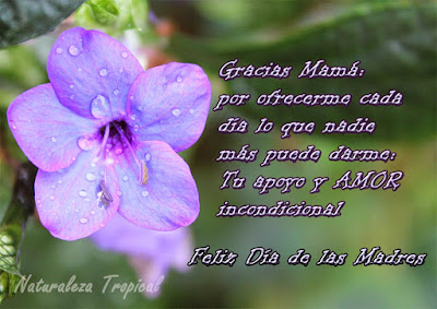 Descargar imágenes de feliz día de la madre 2018 Descargar imágenes de feliz día de la madre 2018
