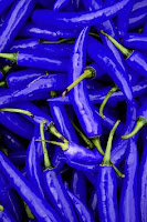 Pile of cayenne peppers photo edited to look blue in color.