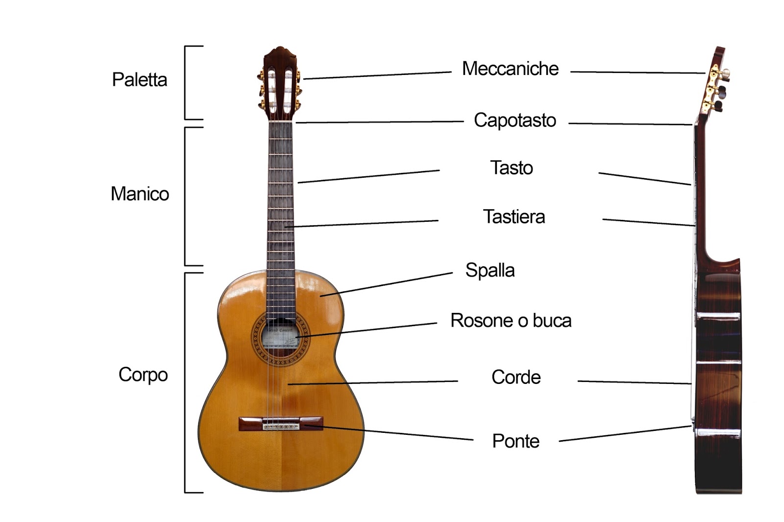 Fantasyfordreaming SUONARE LA CHITARRA 2 LE PARTI DELLA CHITARRA