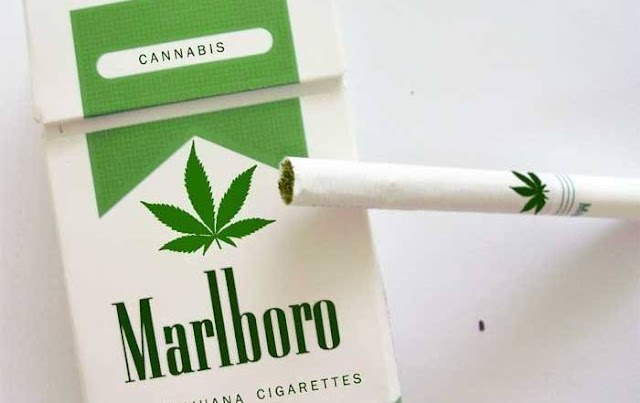 Image result for State Proposes Bold Law to Treat Pot Like Tobacco And Expunge All Records of Marijuana âCrimesâ