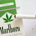 State Proposes Bold Law to Treat Pot Like Tobacco And Expunge All Records of Marijuana ‘Crimes'