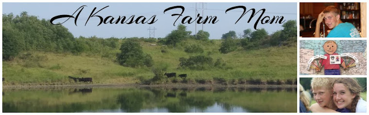 Tales of a Kansas Farm Mom