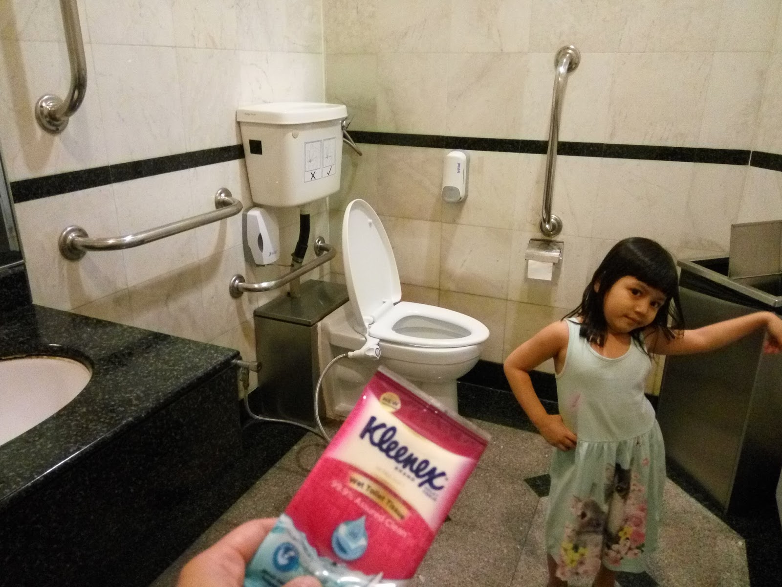 My CrAp ShEEt How To Survive Public Toilet Inconveniences With Kleenex