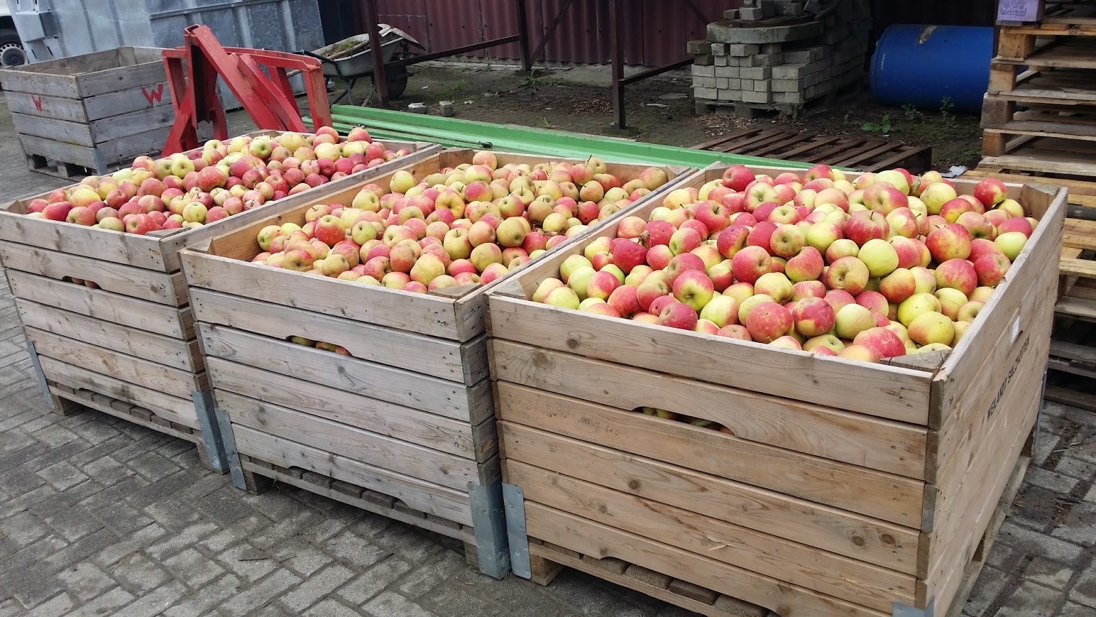 Wie Viele äpfel Sind 1 Kg werthland: Da sind die Äpfel!