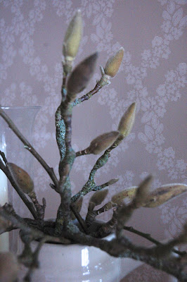 Mossy magnolia branches in a cream coloured jug