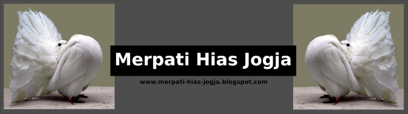 Merpati Hias Yogyakarta | Jual Merpati Hias  | Peternak Merpati Hias