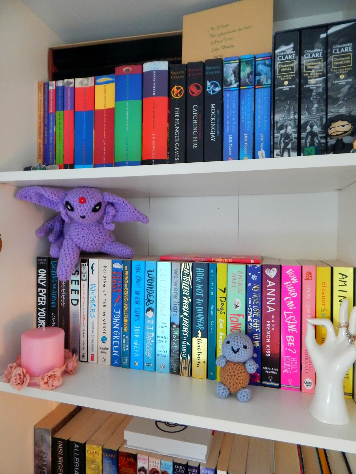 Bookcase Tour 2016 what lauren did today