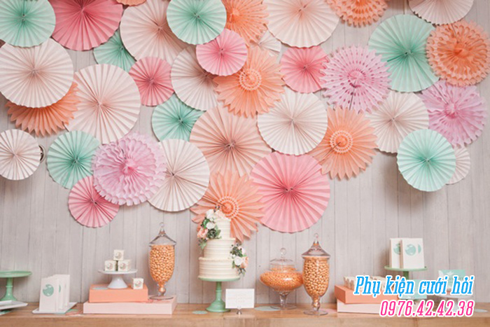 Hoa rẻ quạt giấy Hoa re quat giay