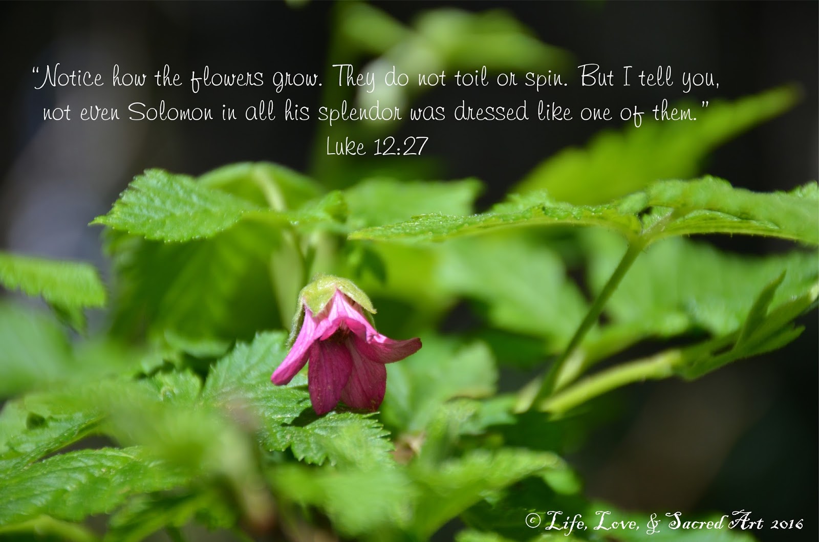 Life, Love, & Sacred Art Can We be Like Flowers in God's Garden?