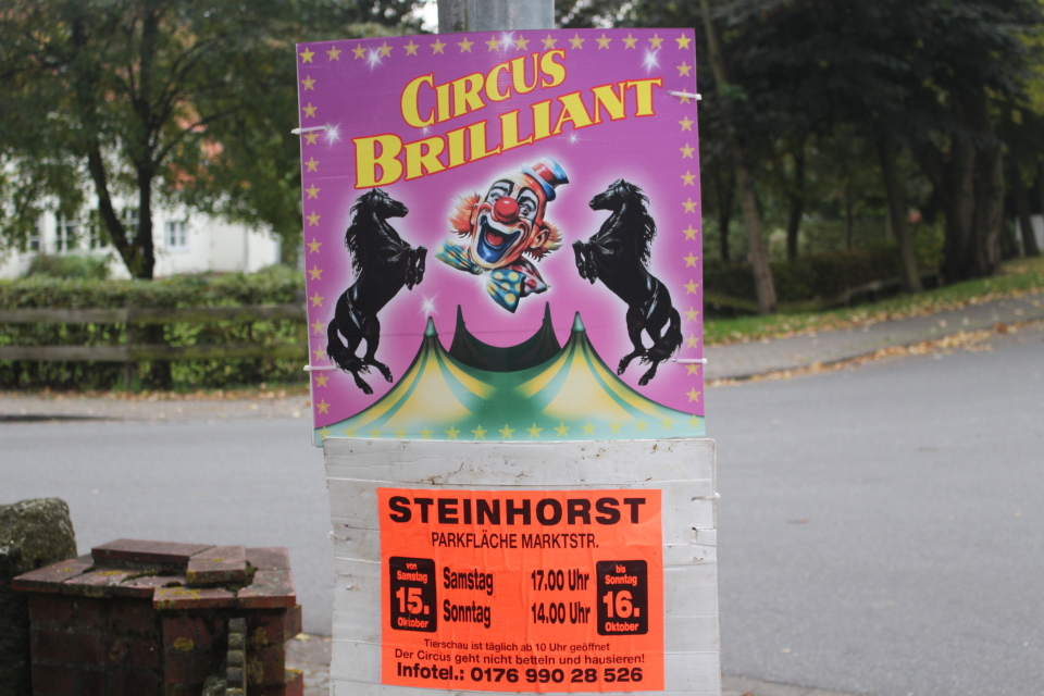 circus brilliant circus brilliant