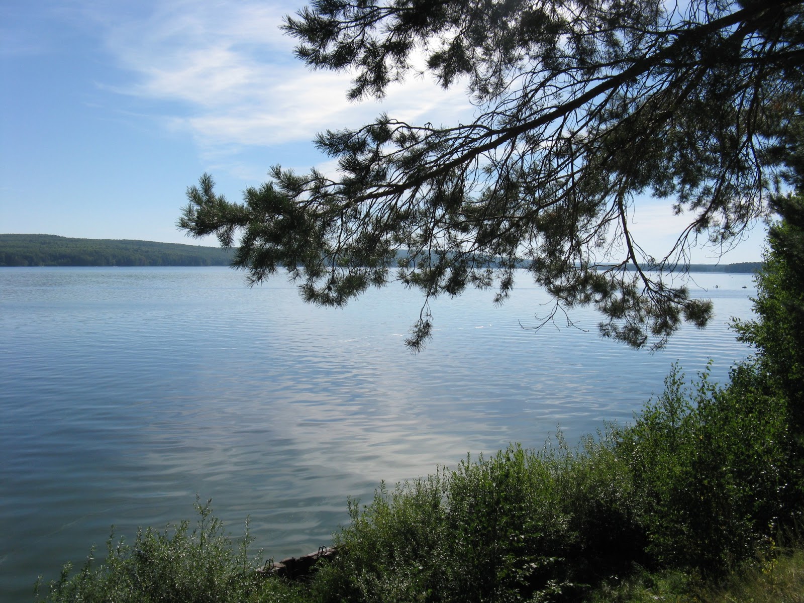 Река кама в чайковском