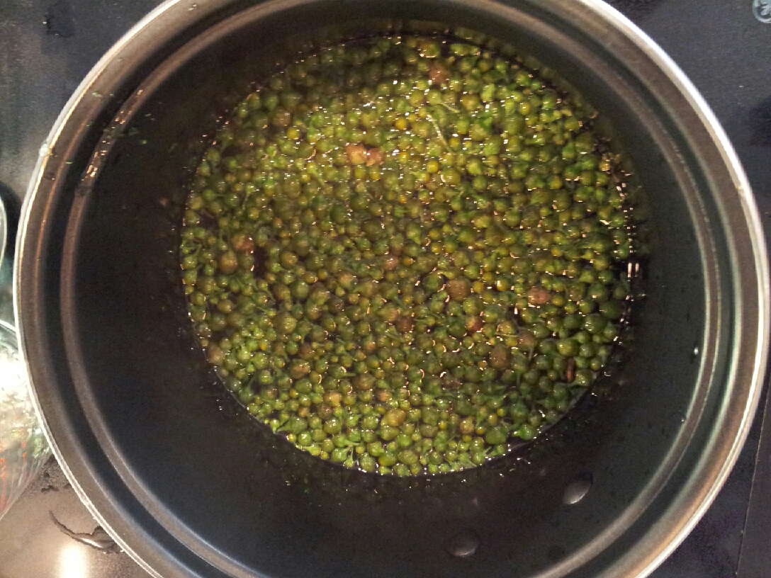 Southern Forager Pineapple Weed Cheesecake!