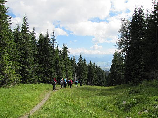 Zejście przecinką do schroniska. Zejście przecinką do schroniska.