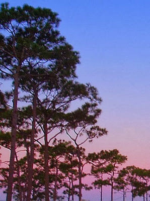 wickham park and campground, melbourne, florida