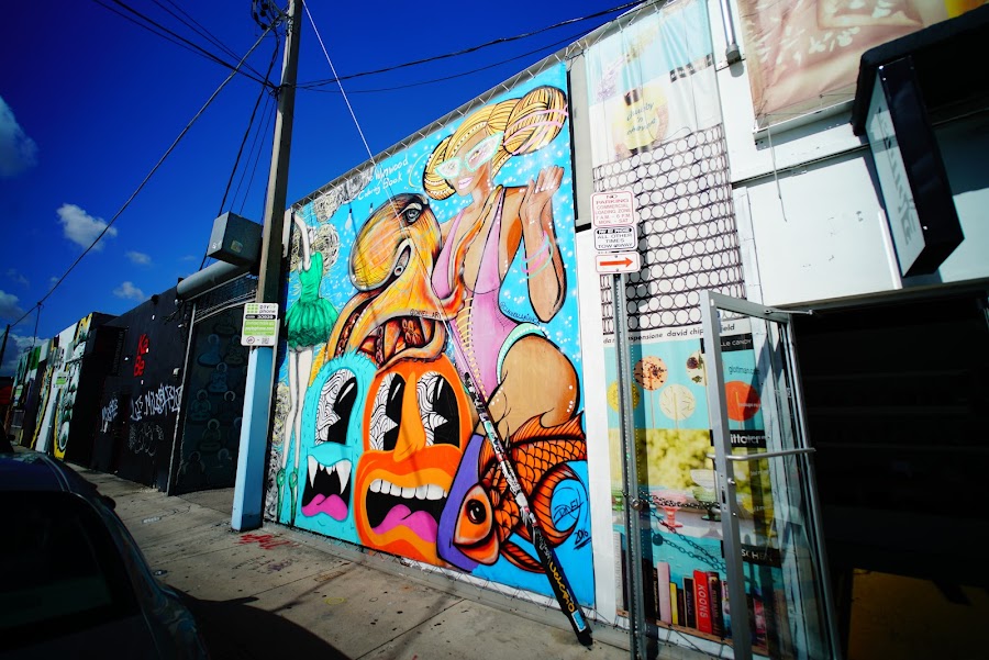 Colorful murals around Wynwood streets, Miami