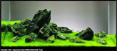 Hasil gambar untuk aquascape iwagumi