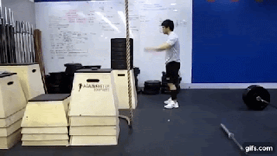 8.gif
