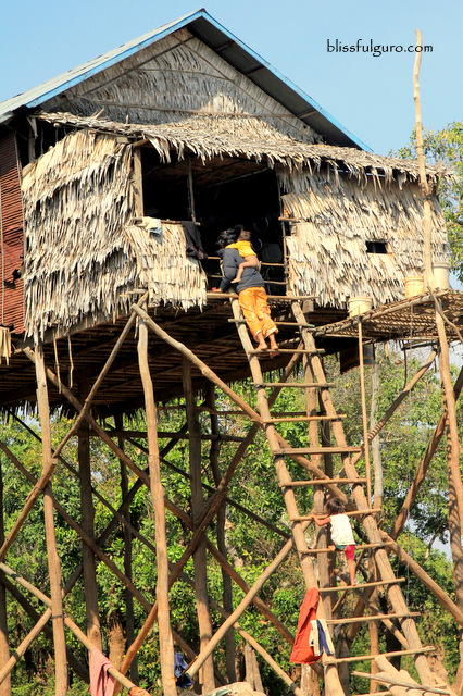 Kampong Phluk Floating Village Siem Reap Cambodia Blog