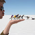 funny awesome pics which might make you feel remarkable