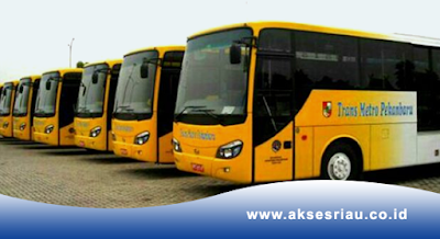 Operator Bus Trans Metro Pekanbaru