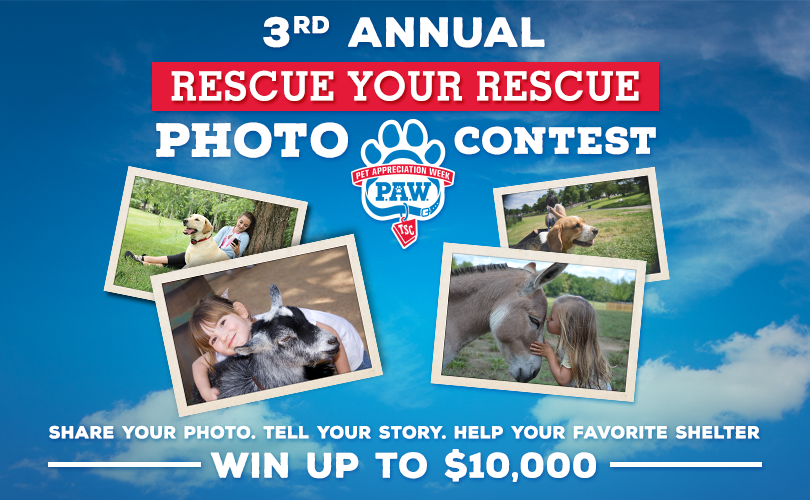 Cat and DOG Chat With Caren 25,000 Up for Grabs in Tractor Supply