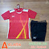 Áo Bóng Chuyền MIZUNO ALB - NU02 Màu Đỏ Đô