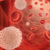 10 Best Natural Ways To Boost White Blood Cells Production