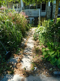 Leslieville Toronto front garden cleanup before Paul Jung Gardening Services
