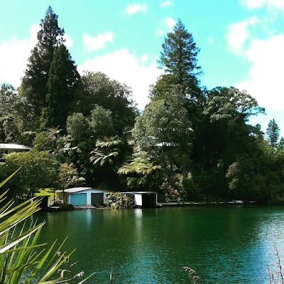 Boatsheds across a river.