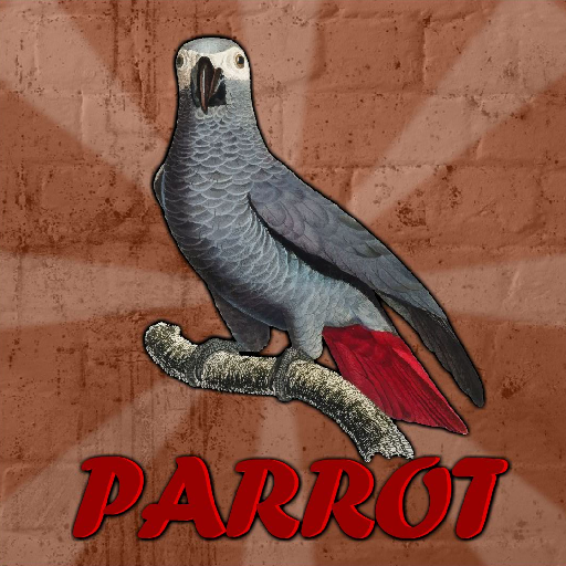 Grey Parrot Rescue Walkthrough