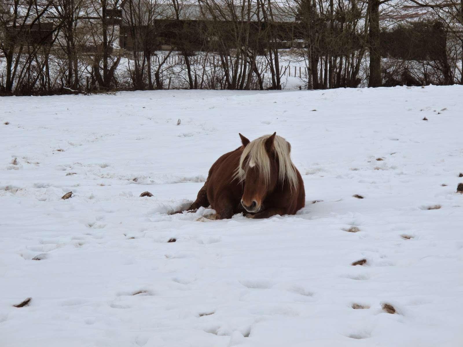 Ulzama bajo la nieve.......