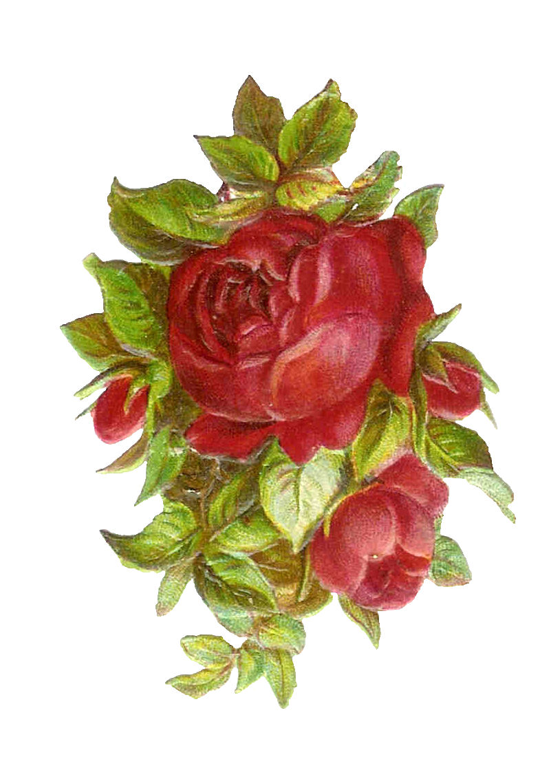 free clip art vintage roses - photo #17