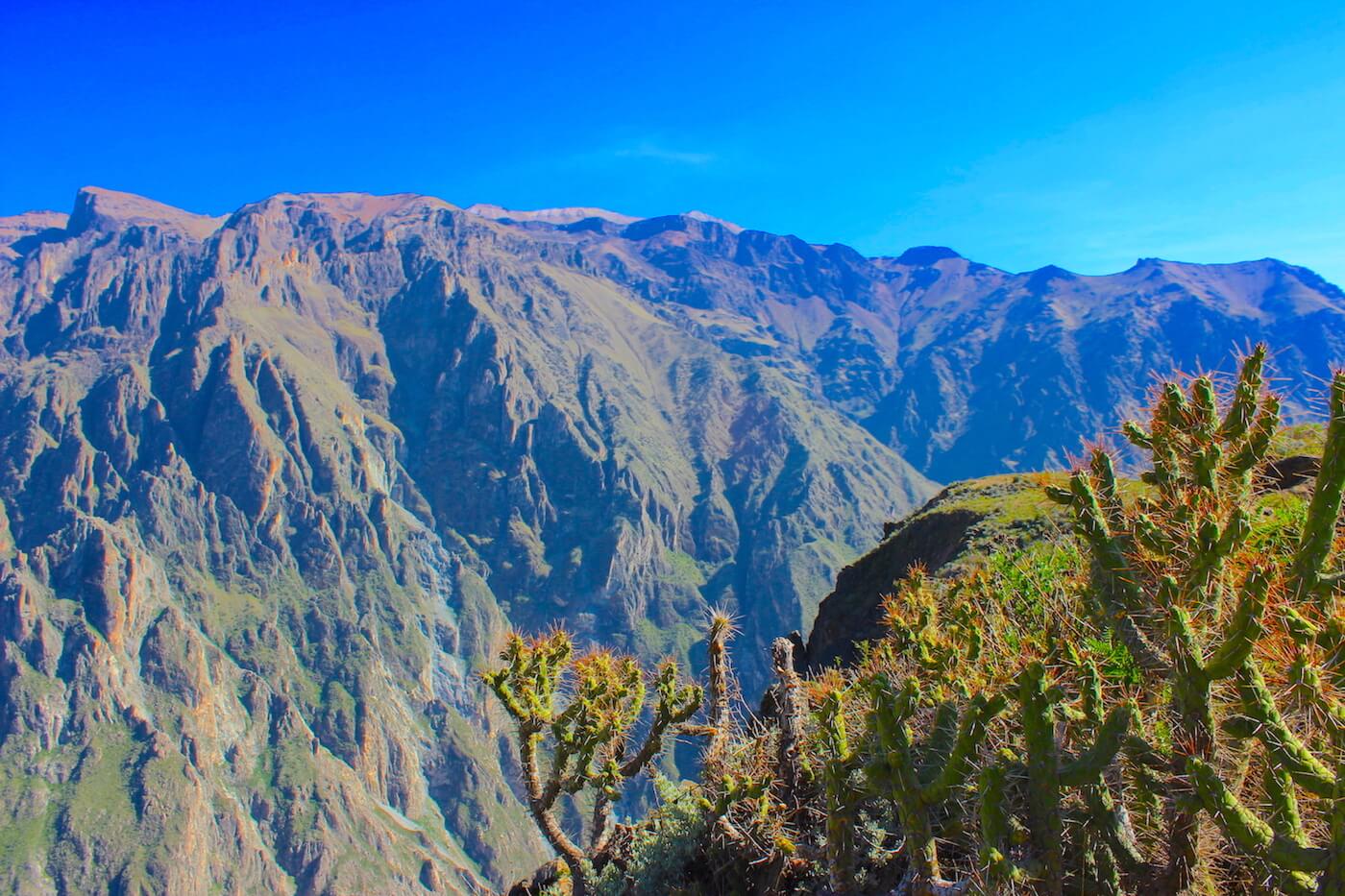 at the colca canyon
